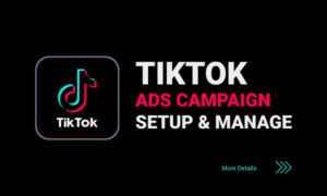 Buy TikTok Verified Ads Accounts